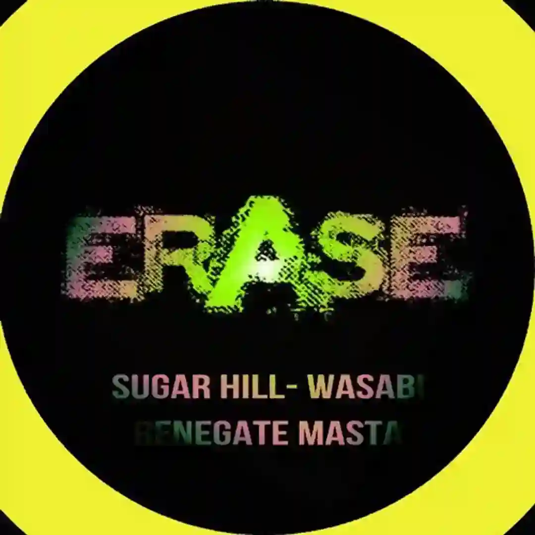 Renegate Masta cover