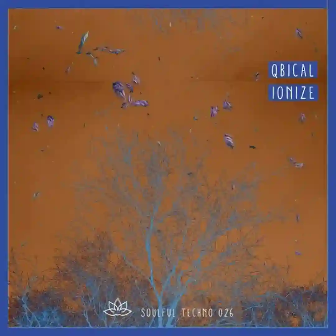 Ionize cover
