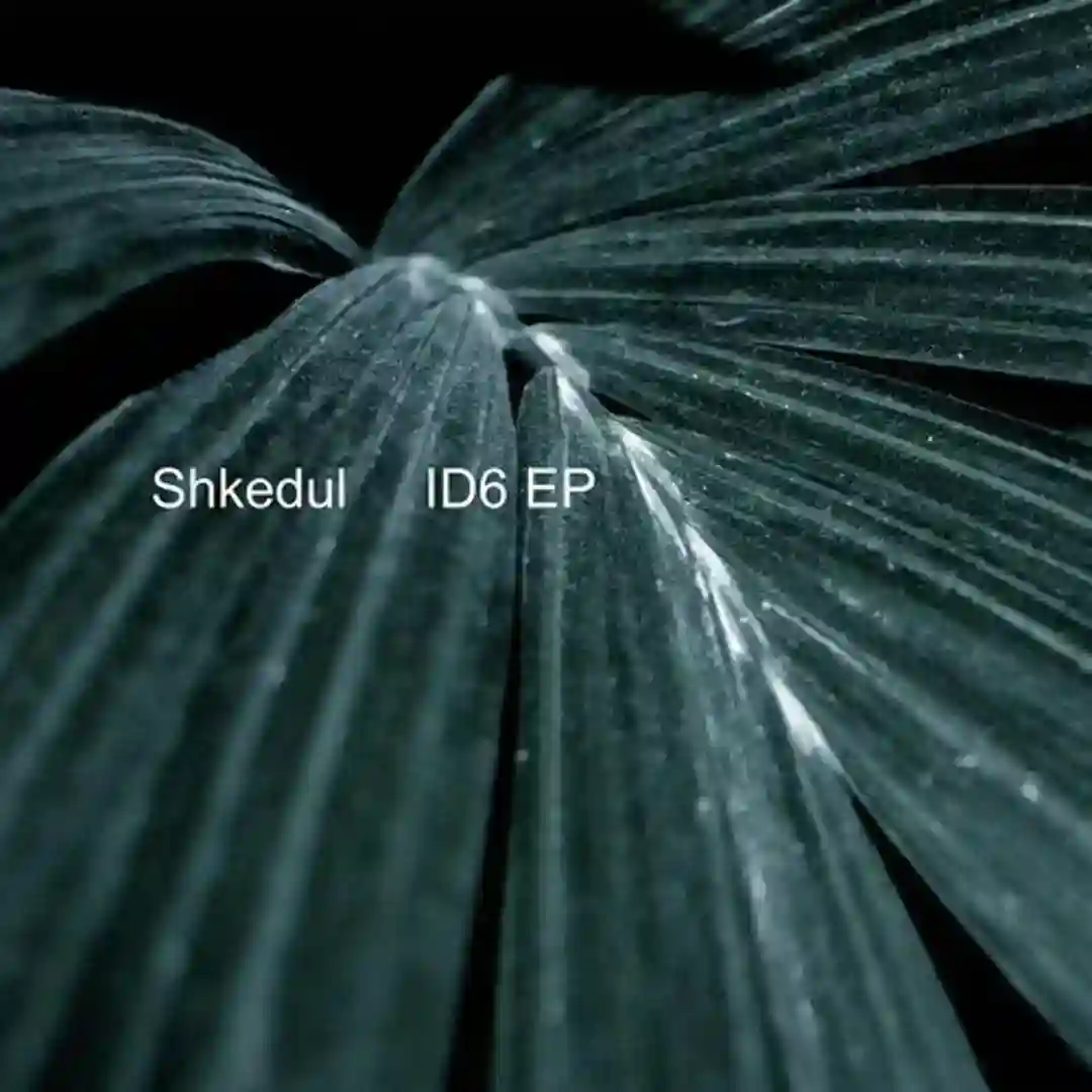 Id63 (Original mix) cover