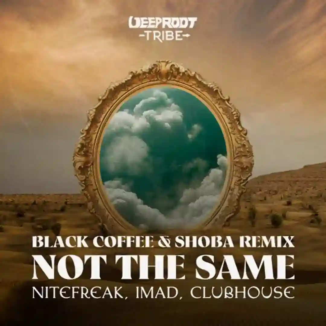 Not The Same - Black Coffee & Shoba Extended Mix cover