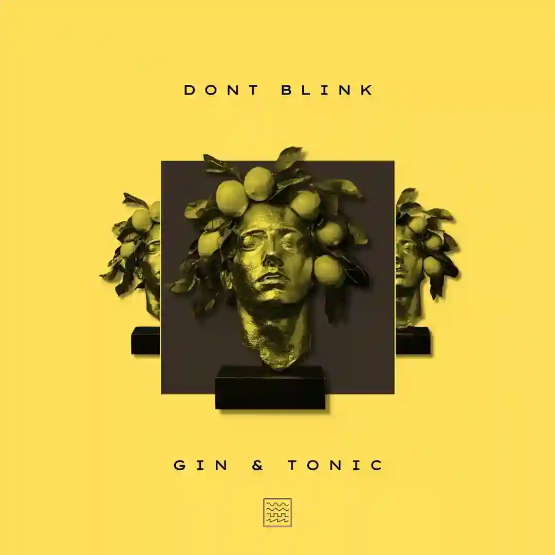 GIN AND TONIC cover