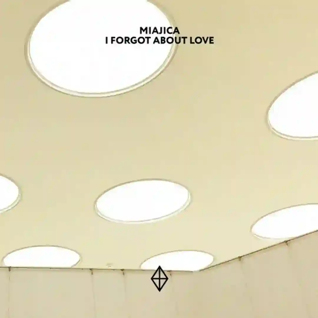 I Forgot About Love (Acid Pauli Remix) cover