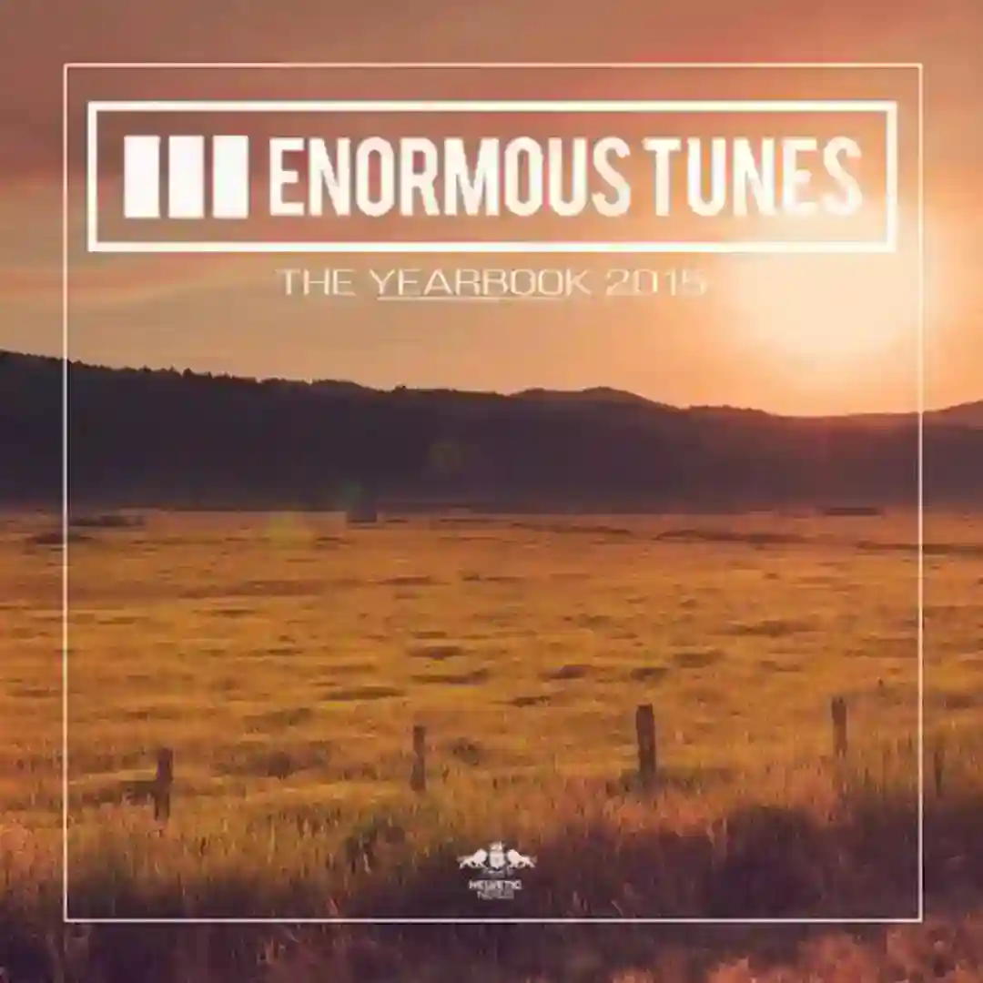 Shake That Ass (Original Mix) cover