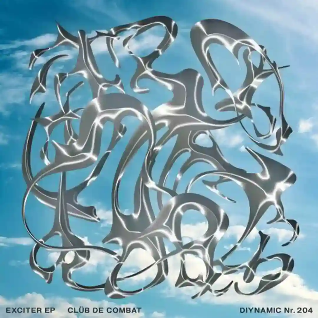 Party Of The Year cover