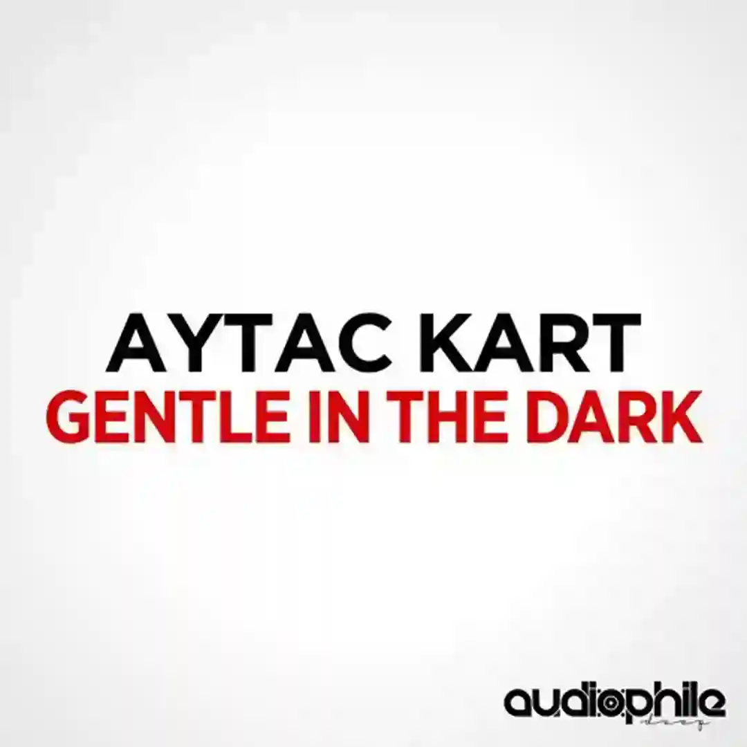 Gentle In The Dark (Dub Mix) cover