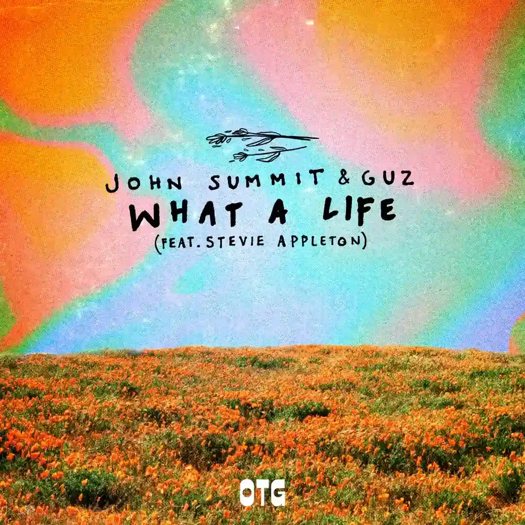 What A Life - Extended Mix cover