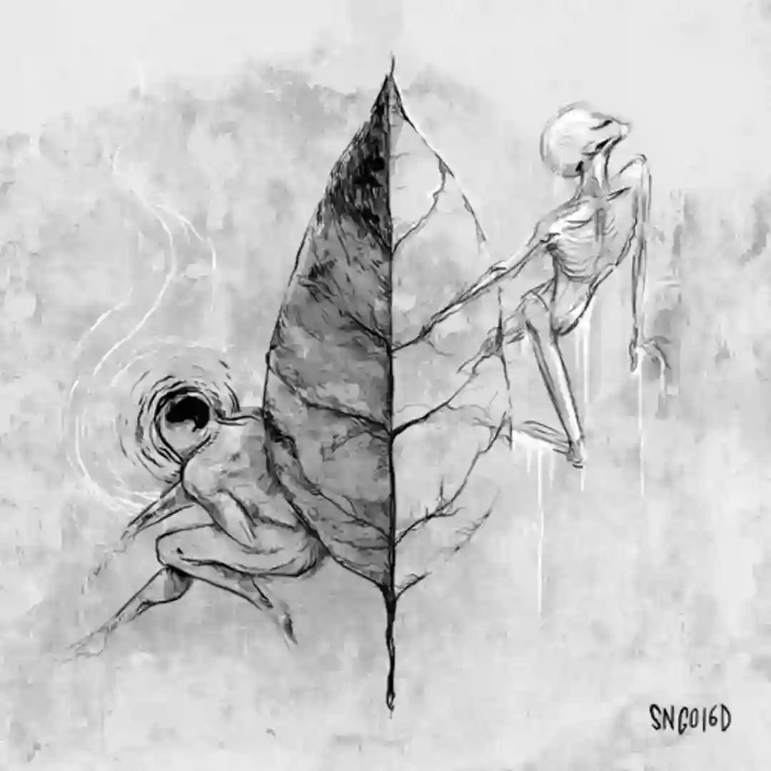 Plantae cover