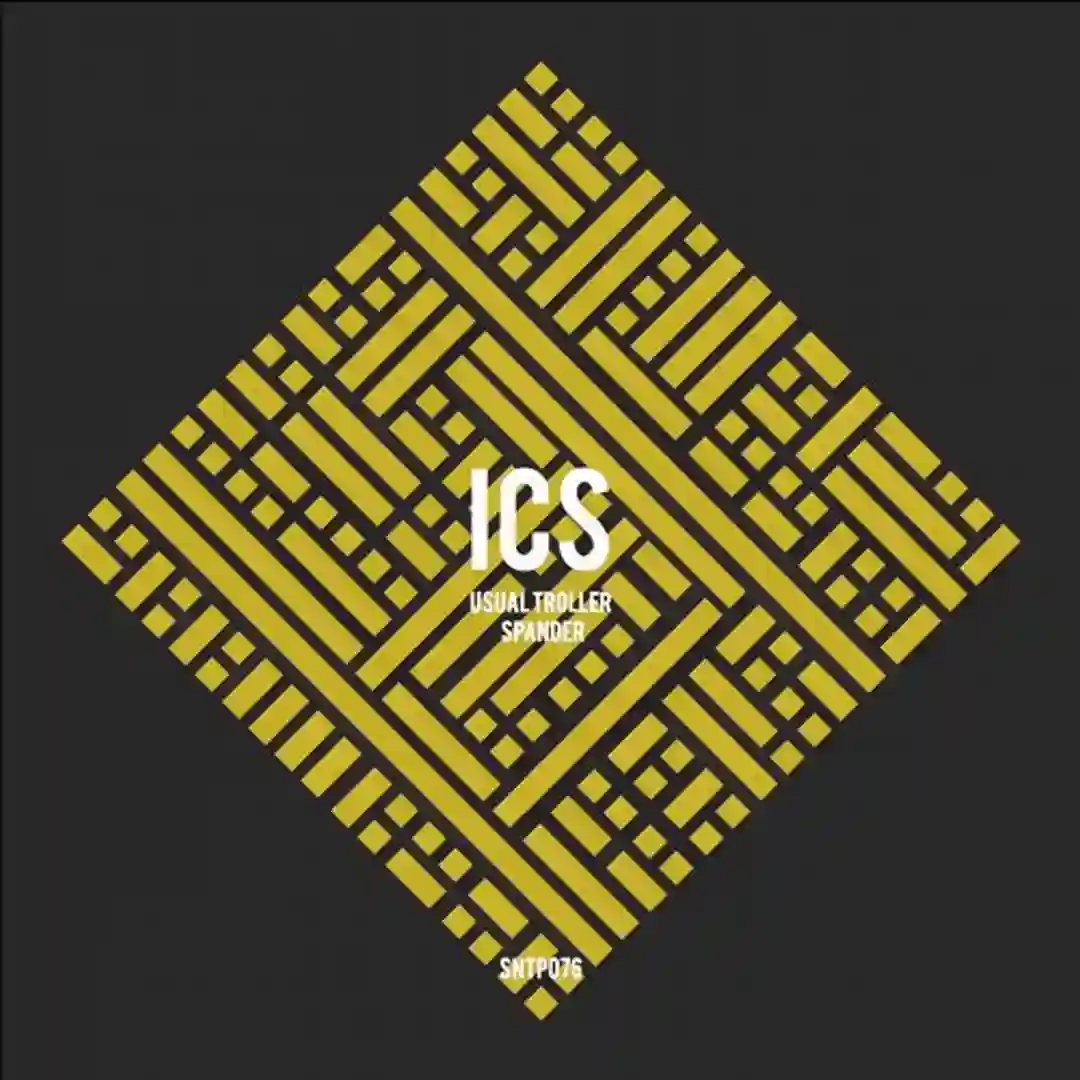 Usual Troller (Original Mix) cover