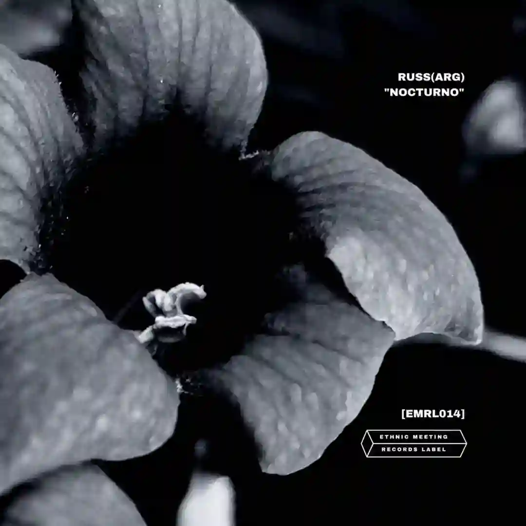 NST (Original Mix) cover