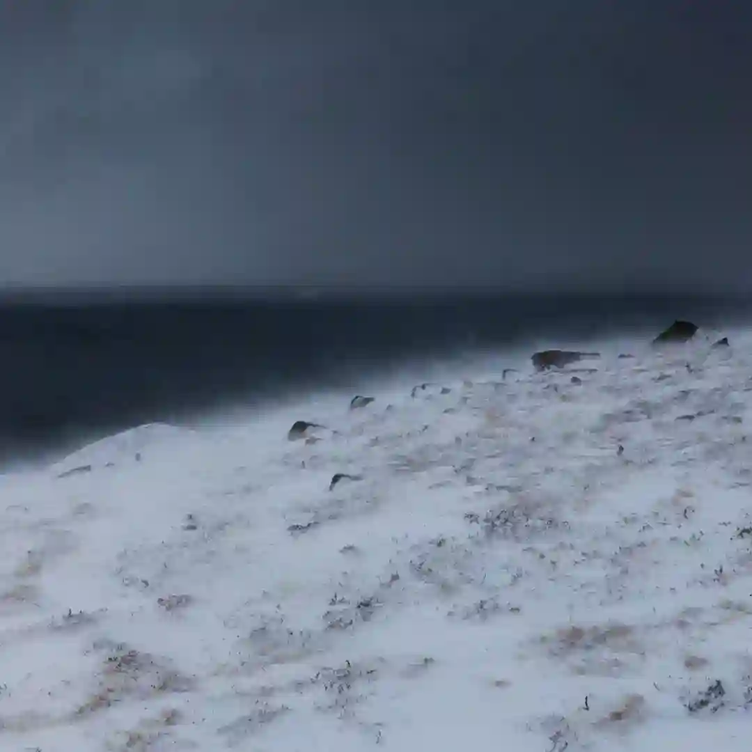 Snowstorm (Slowed) cover