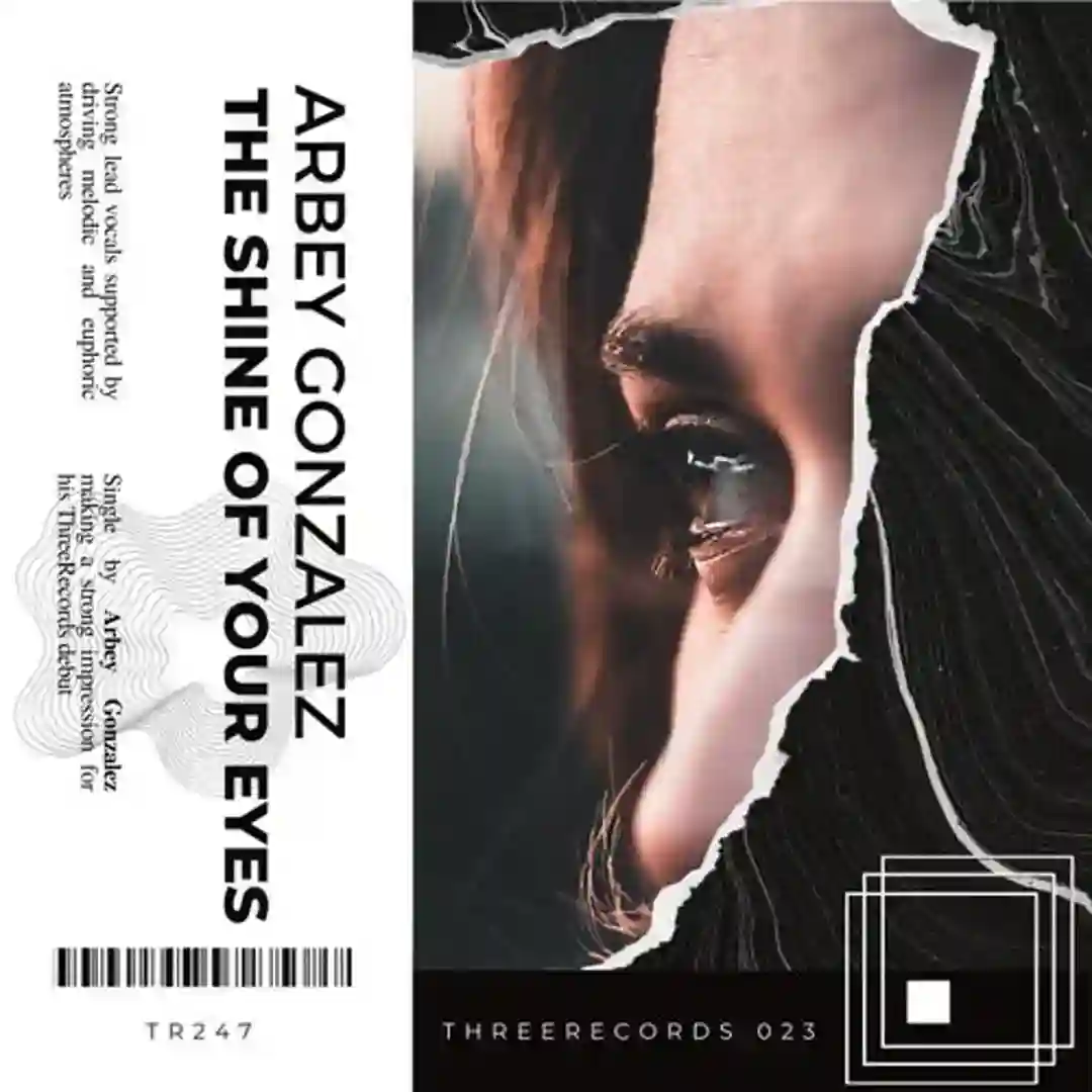 The Shine of Your Eyes cover