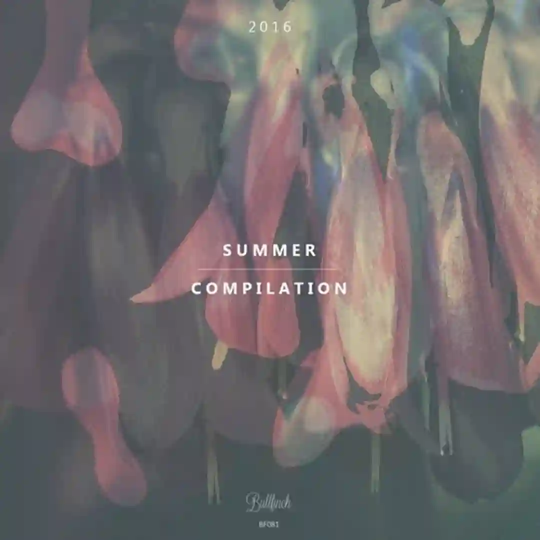 Late Riser (Original Mix) cover