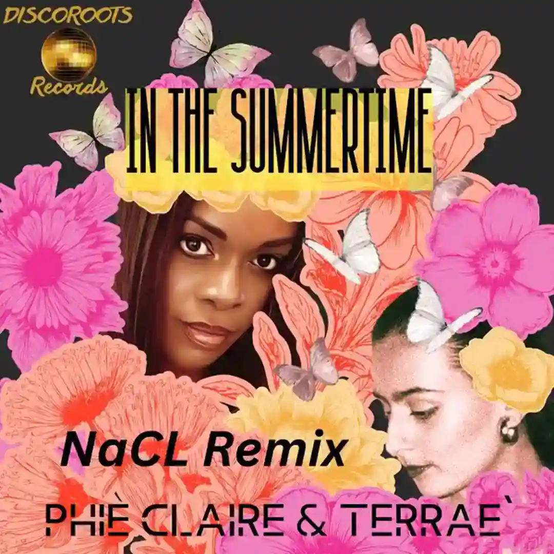 In the Summertime (NaCL Remix) cover