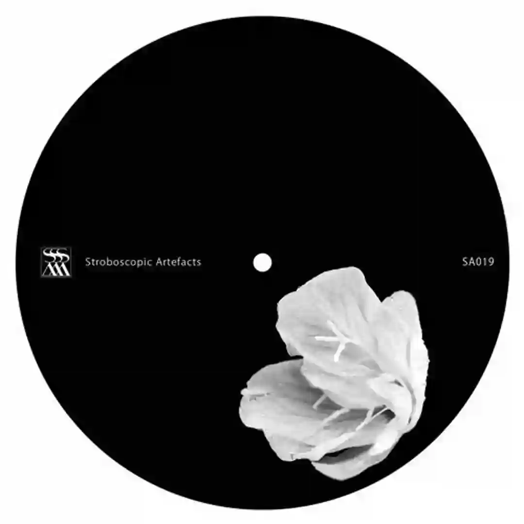Valentina Lane (Original Mix) cover