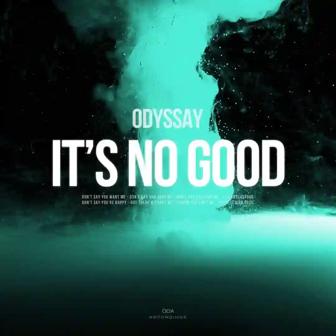 It's No Good cover