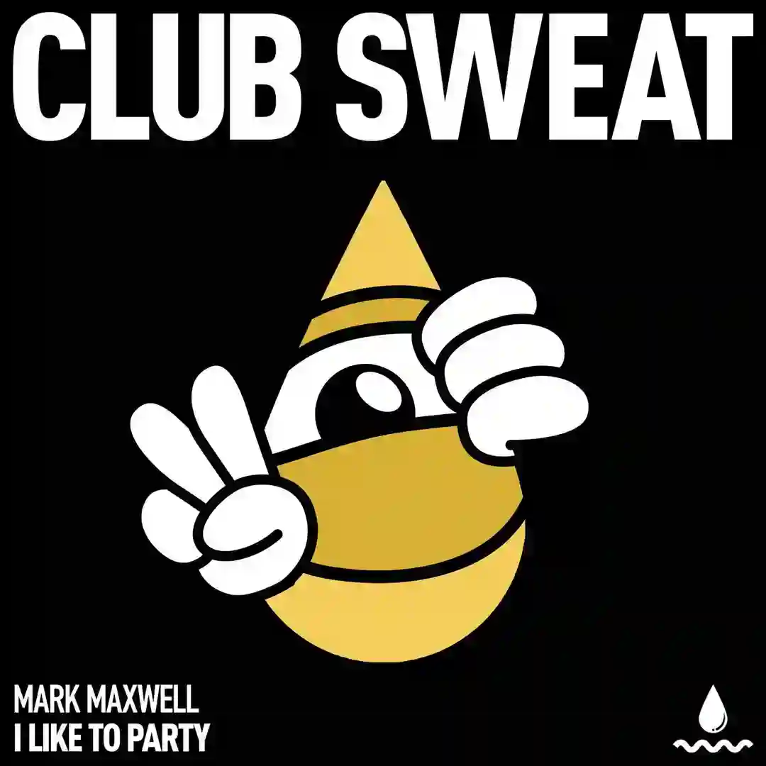 I Like to Party (Extended Mix) cover
