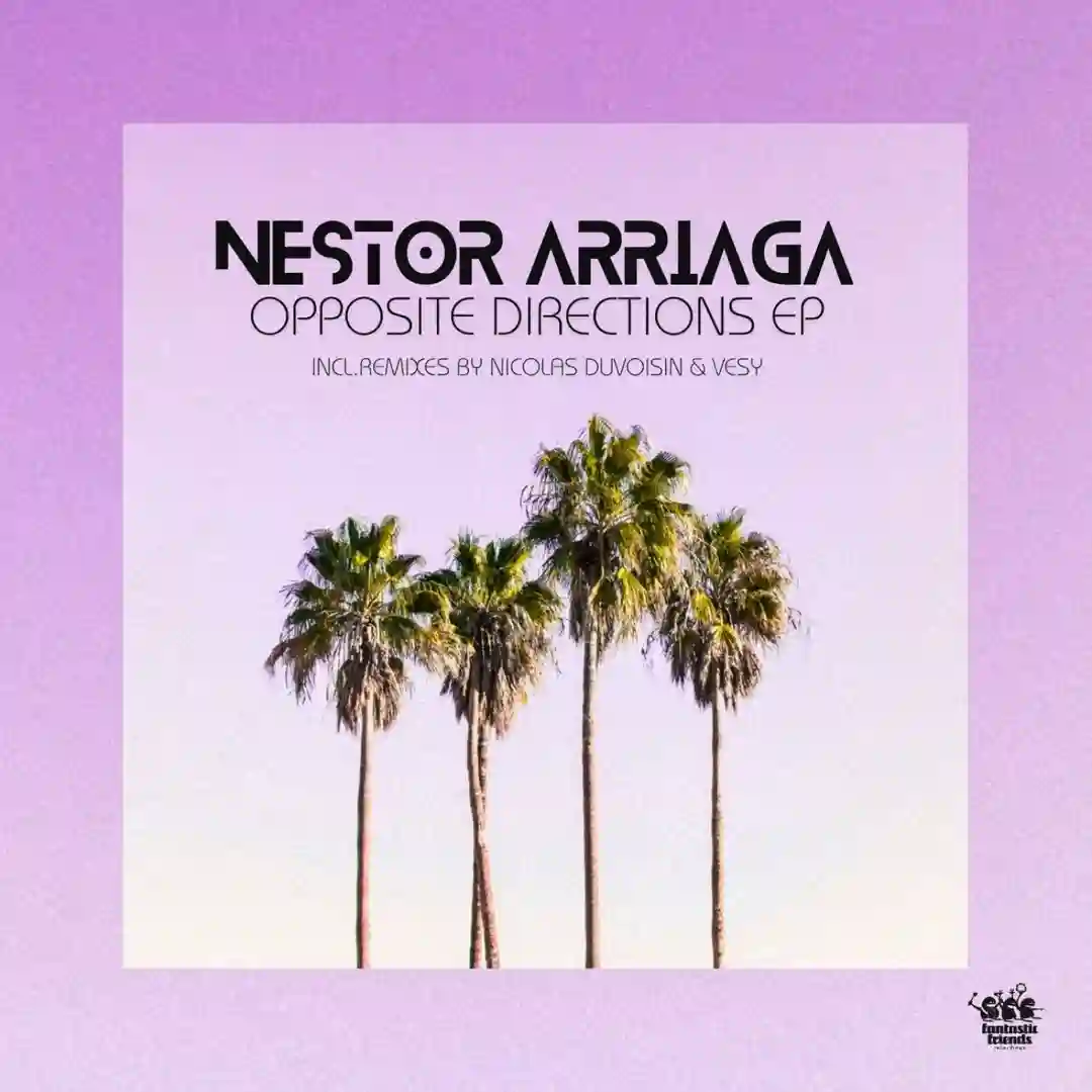 Opposite Directions (Nicolas Duvoisin Remix) cover