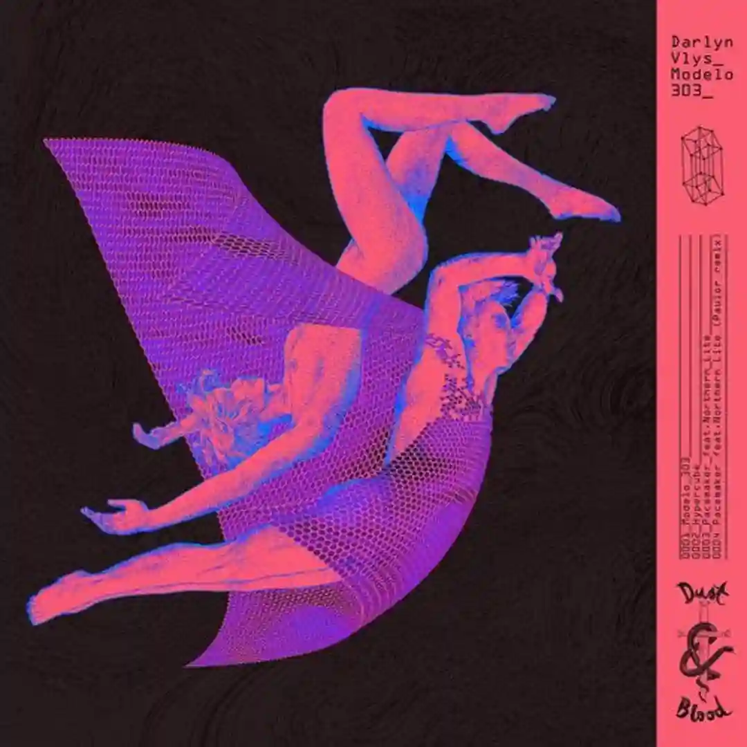Modelo 303 cover