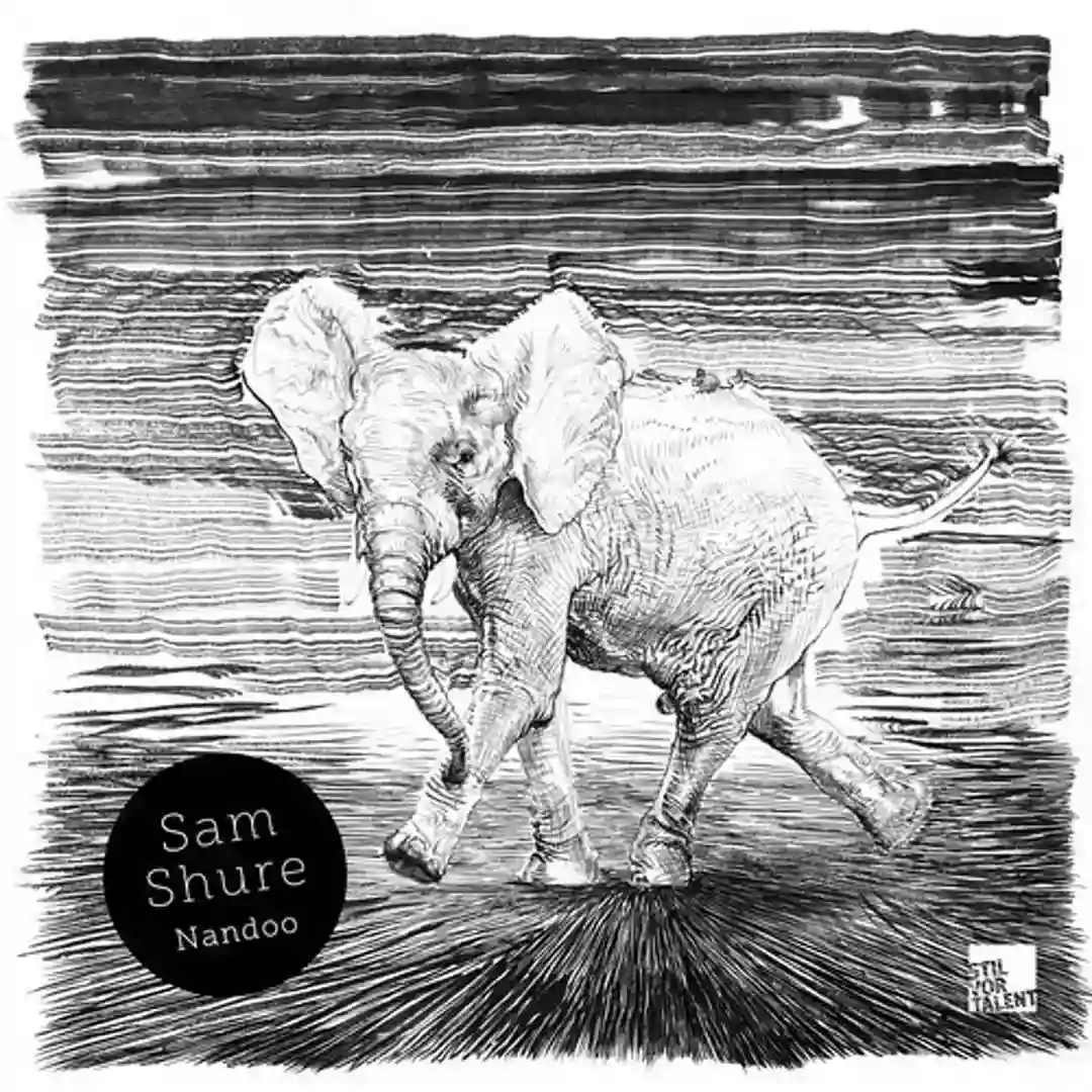 Nandoo (Original Mix) cover