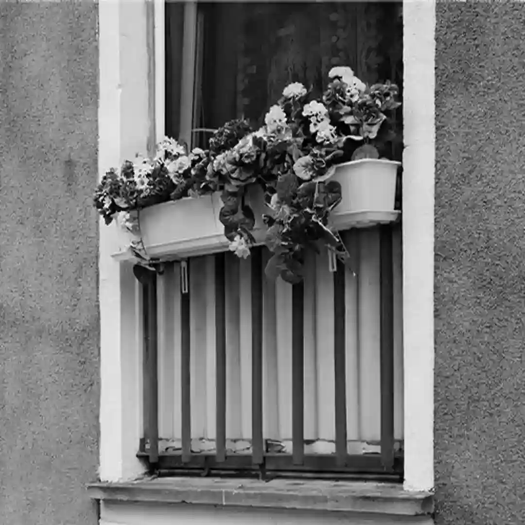 Saude (Eule:nhaupt & Molle:nhauer Radio Verion) cover