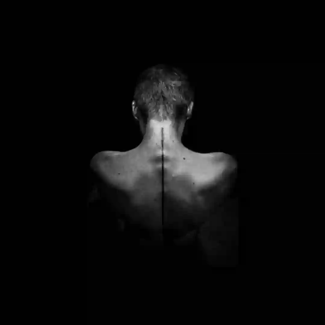 Within a Dream cover