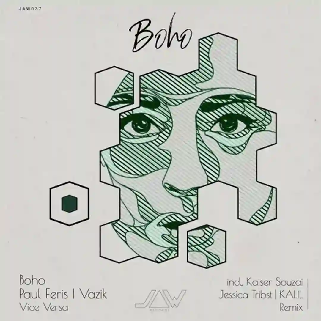 Vice Versa cover