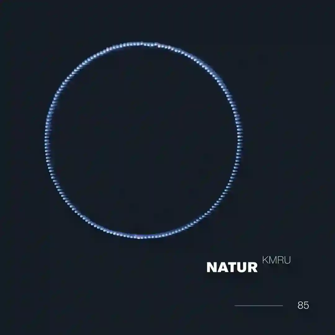 Natur 5 cover