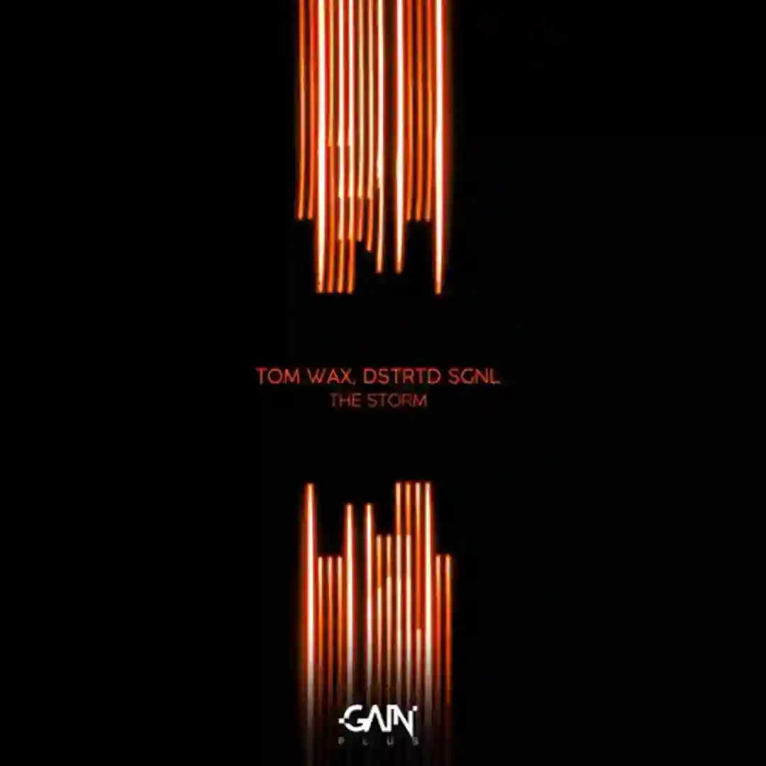 The Storm cover