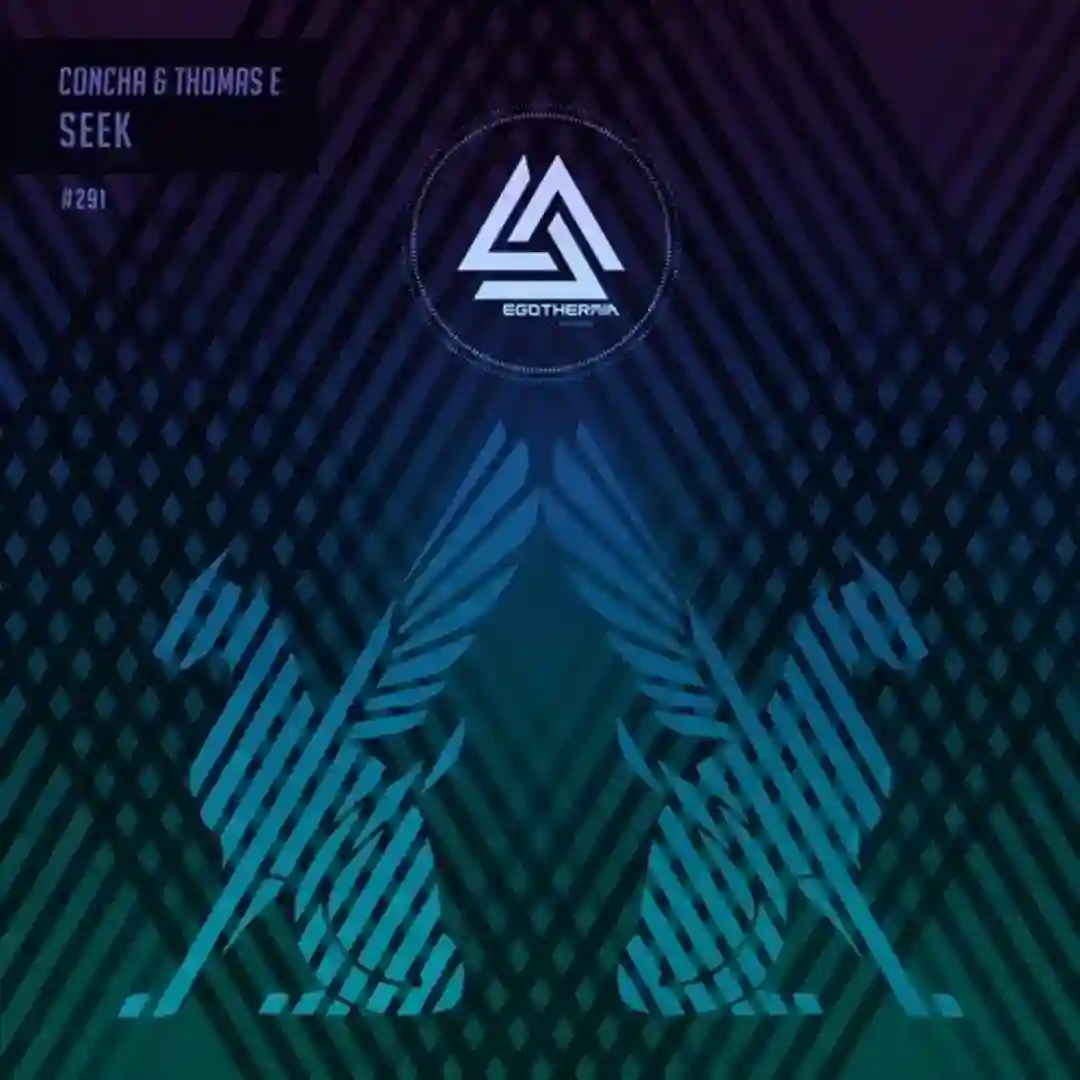 Seek (Original Mix) cover