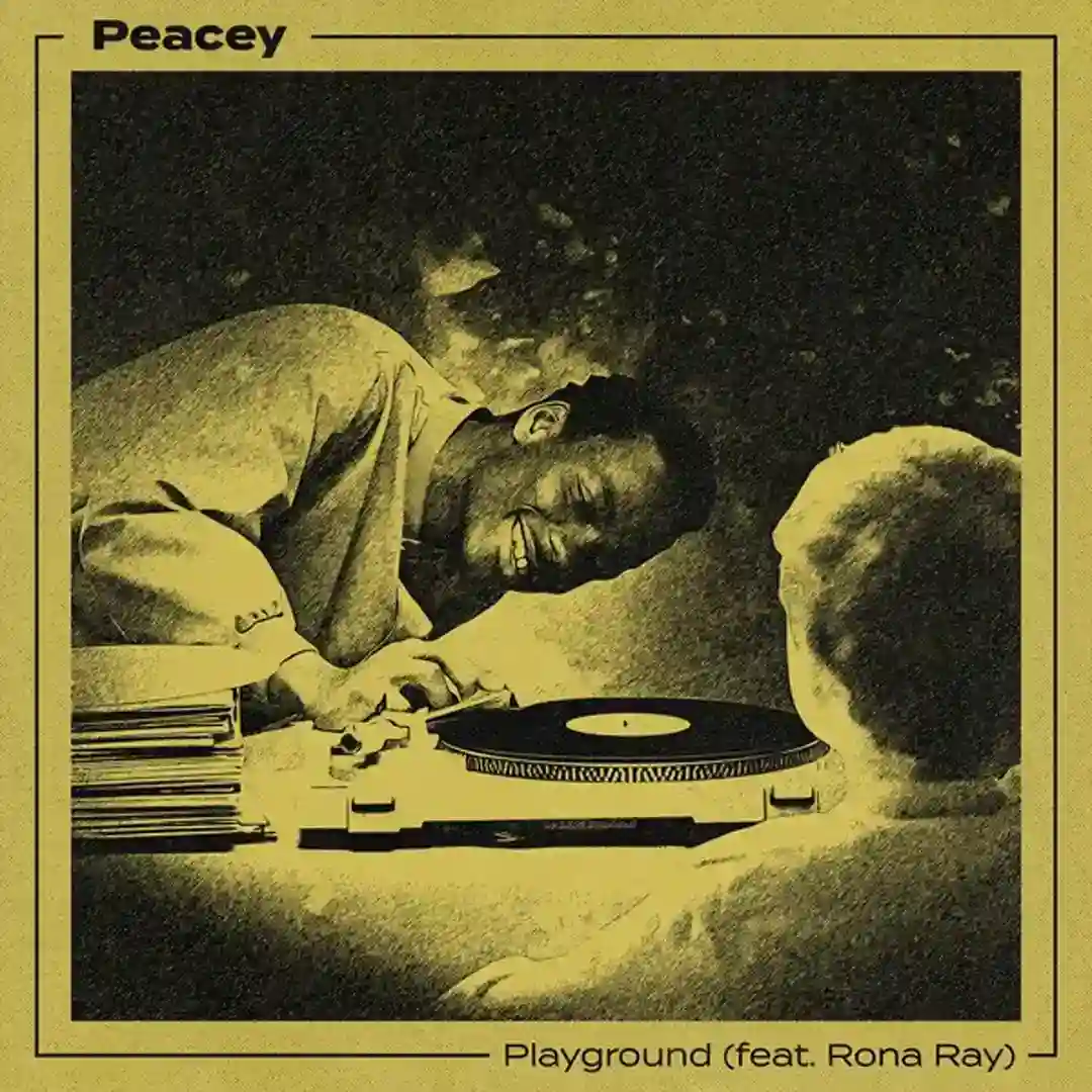 Playground (Peacey's Acid Mix) cover