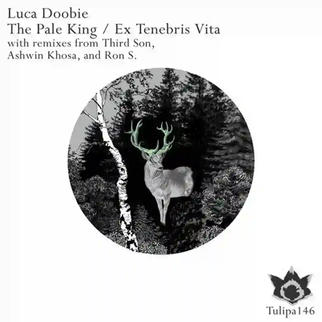 Ex Tenebris Vita (Ron S. Remix) cover