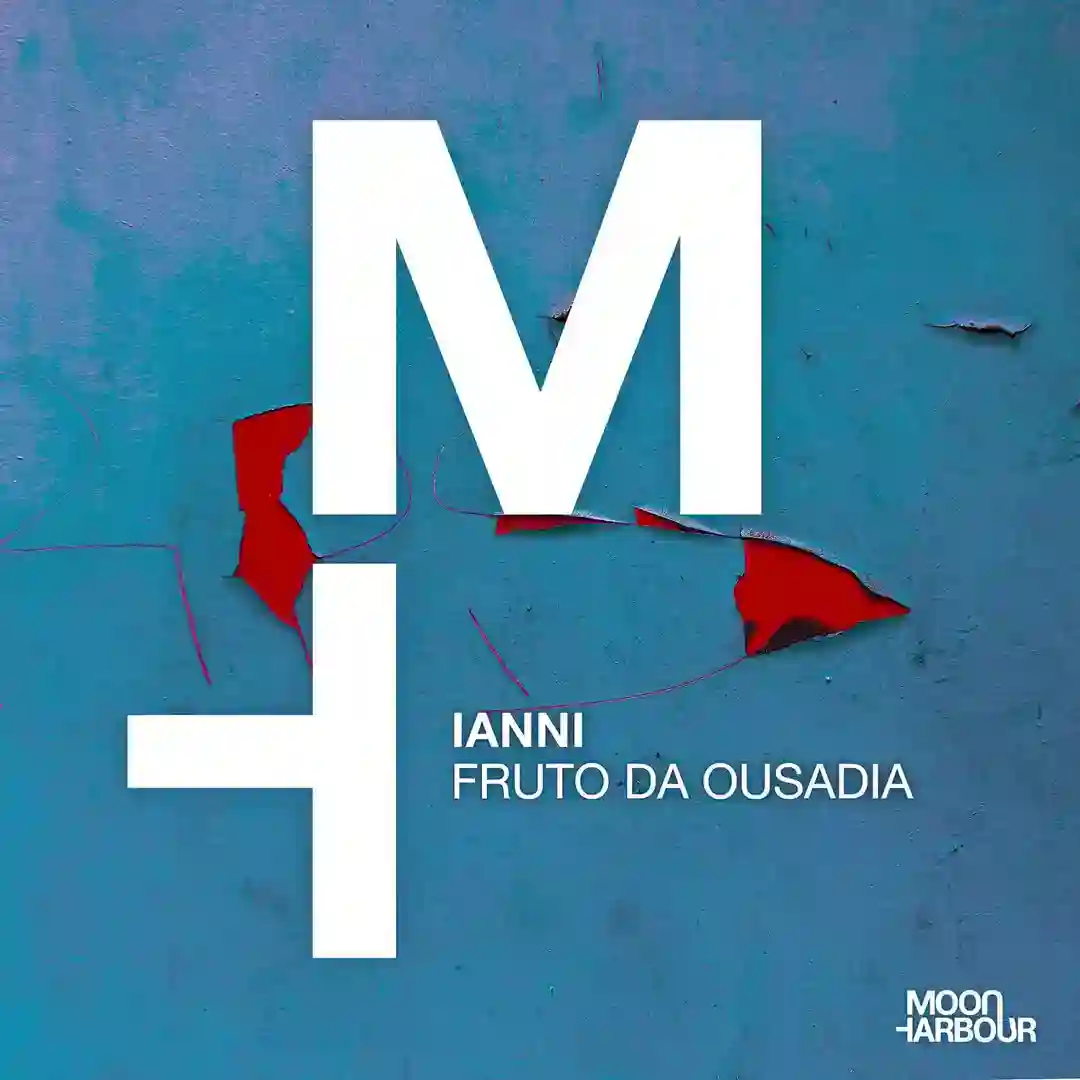 Fruto Da Ousadia (Original Mix) cover