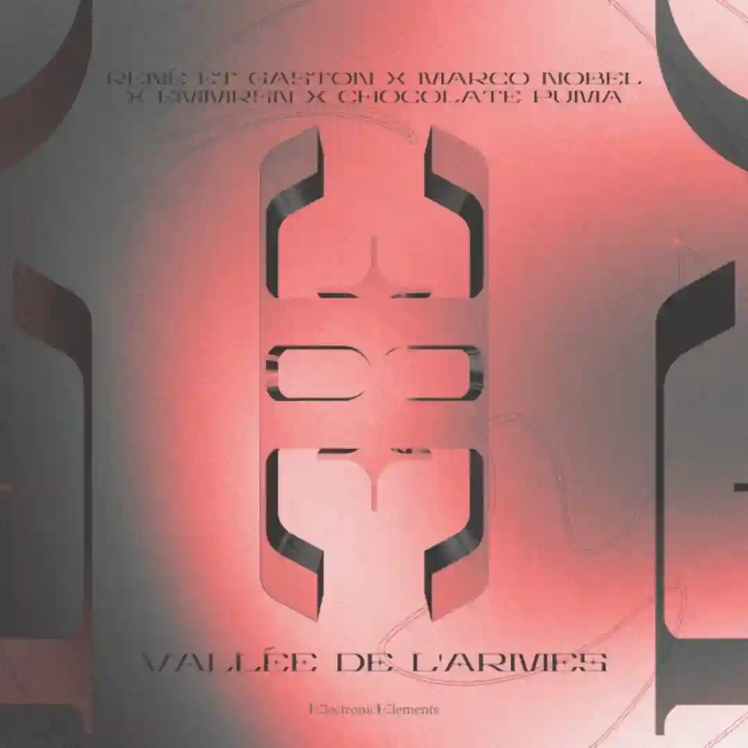 Vallée De L'Armes (Extended Mix) cover