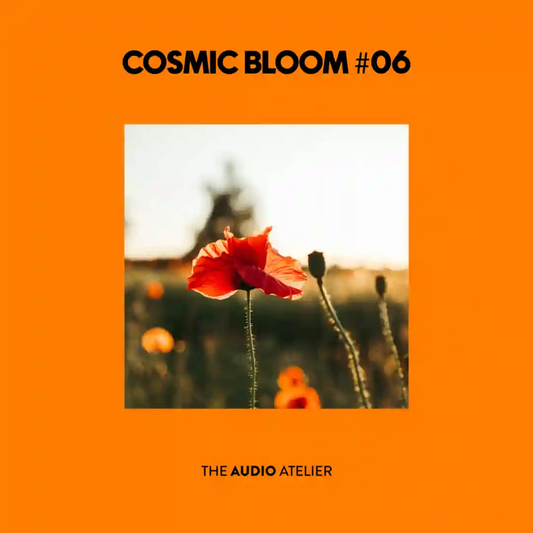Picnic Bread (Original Mix) cover