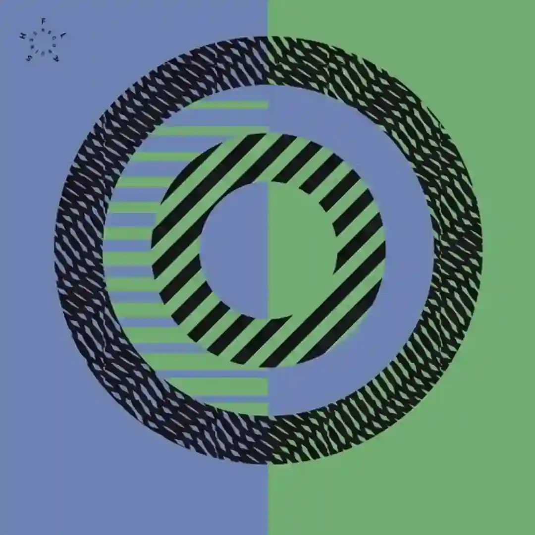 Shielding (Original Mix) cover