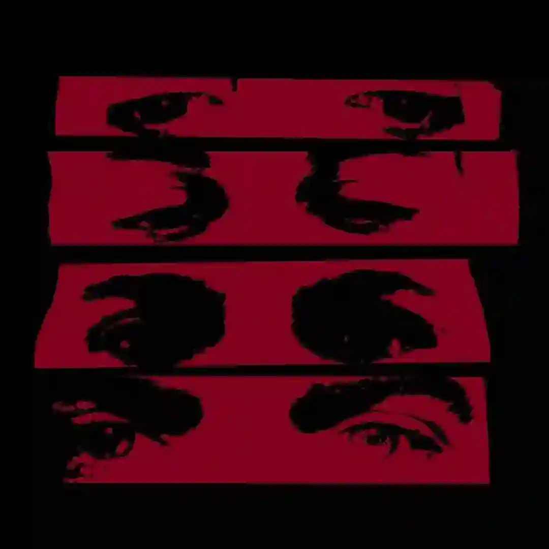 Assassin cover