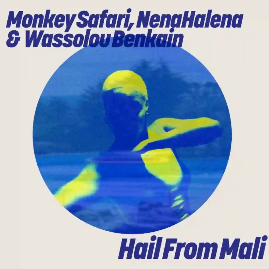 Hail From Mali (Extended Mix) cover
