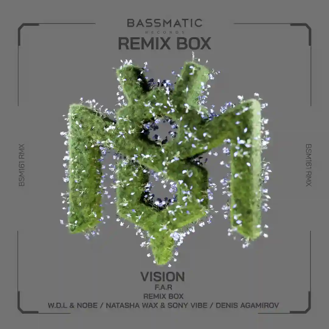 Vision (Denis Agamirov Remix) cover