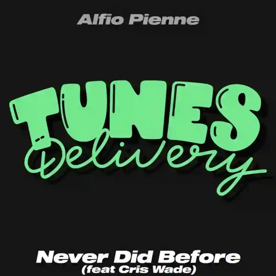 Never Did Before cover
