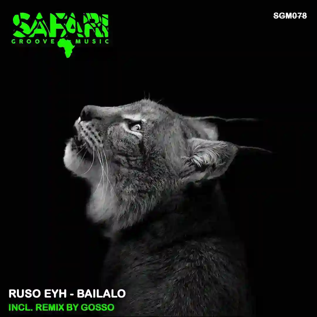 Bailalo (Original Mix) cover