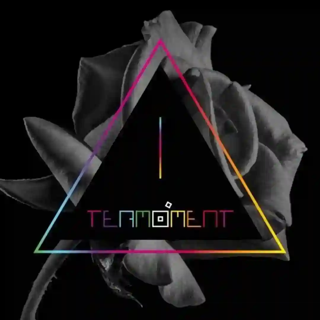 Alum Roses (Original Mix) cover