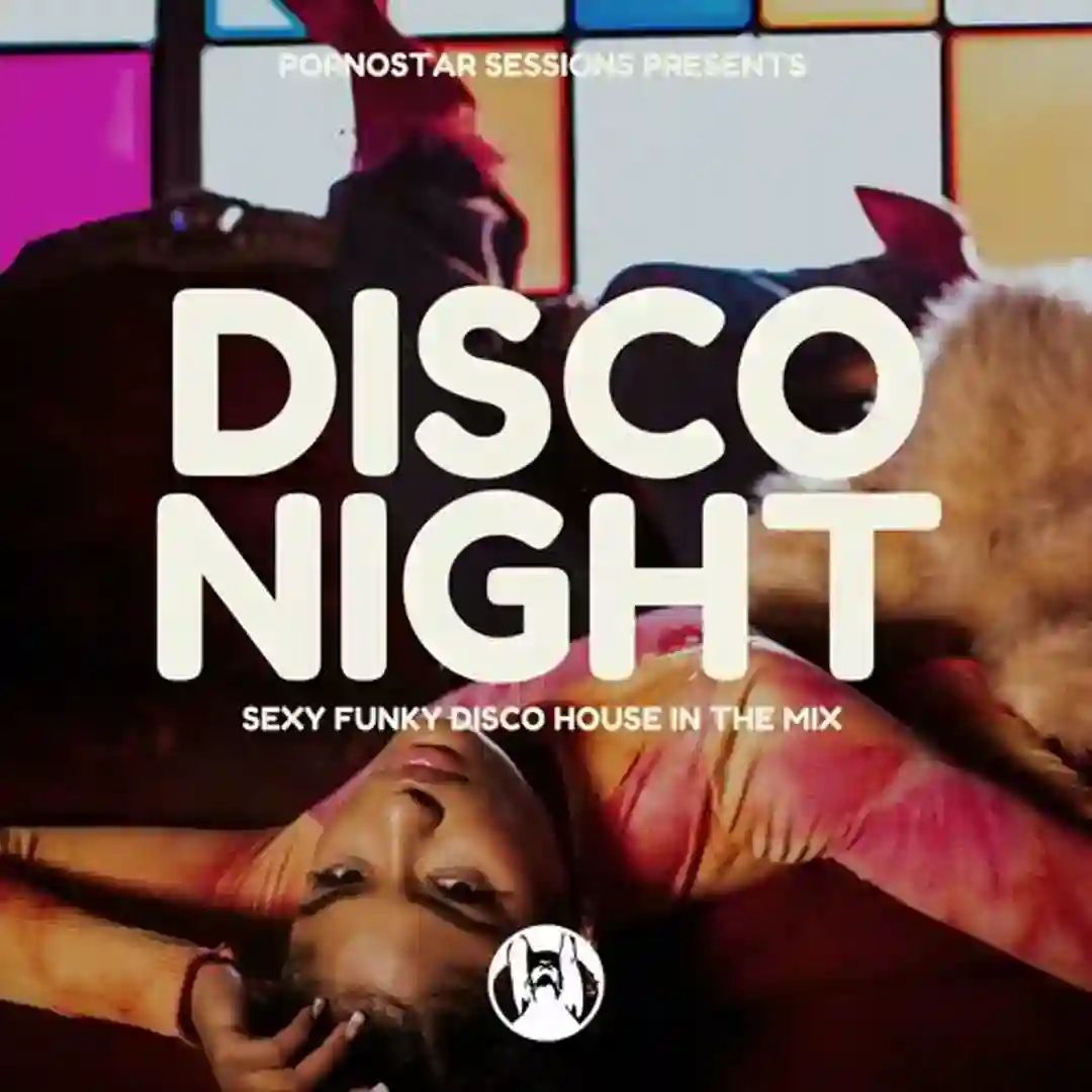 Disco Stepper (Original Mix) cover