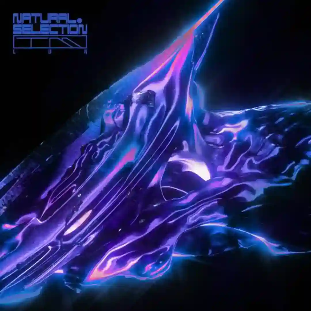 Core Structure cover