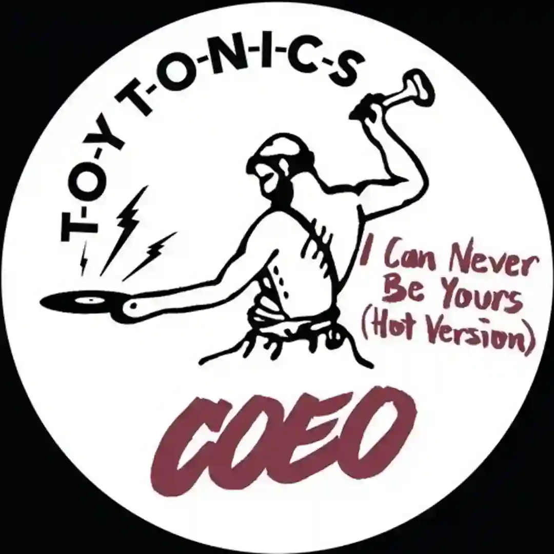 I Can Never Be Yours (Hot Version) cover