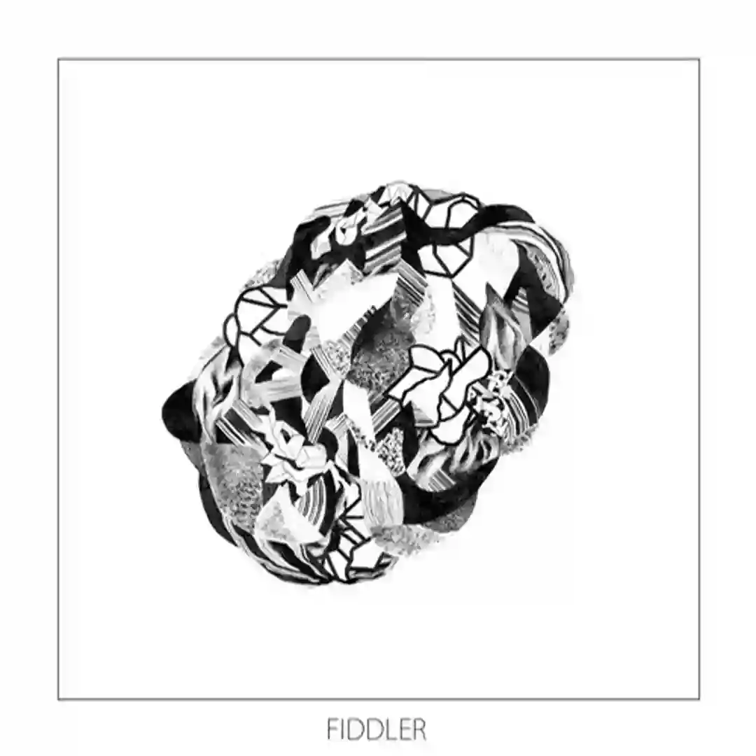 Fiddler cover