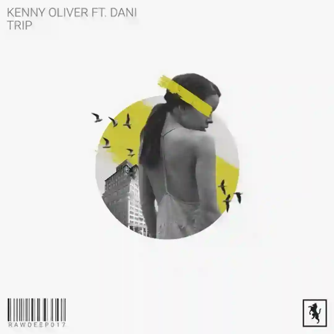 The Vibes (Original Mix) cover