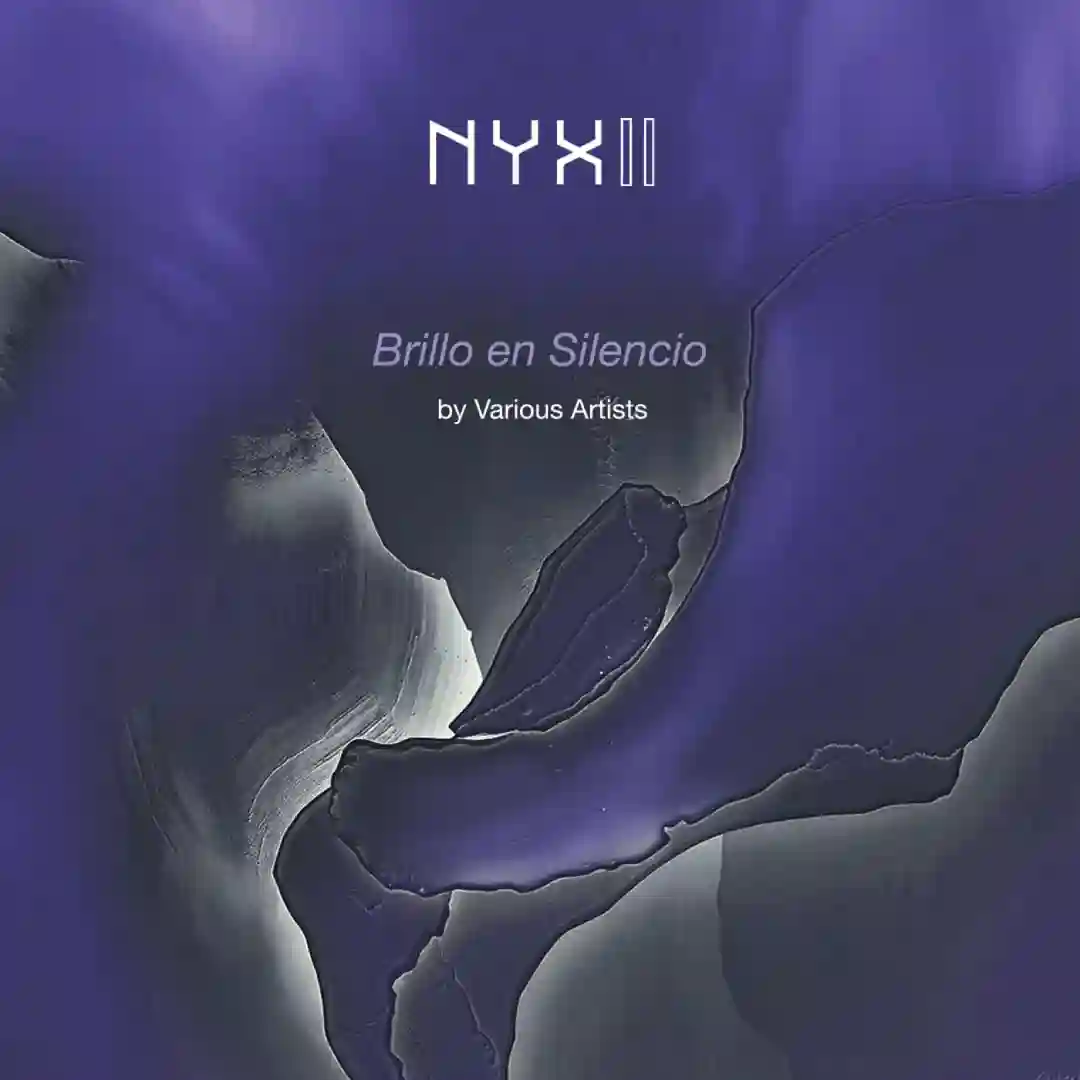 Brillo en Silencio cover