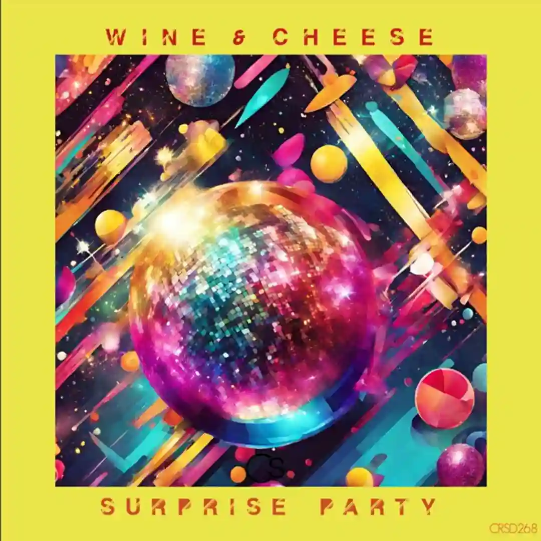 Surprise Party cover