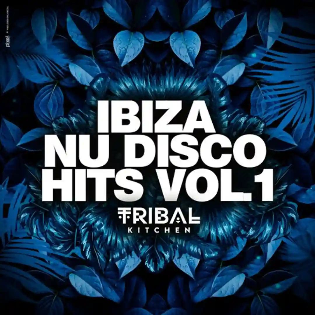 I Love the Nightlife (Extended Mix) cover
