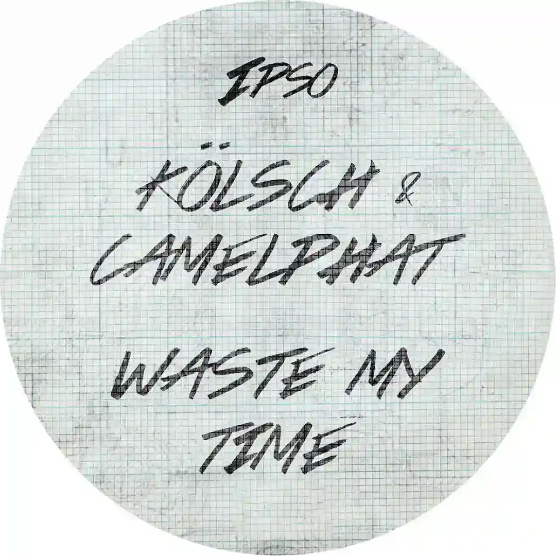 Waste my time cover